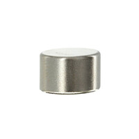 Spare Magnets -magnet only