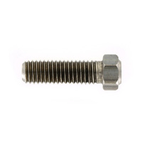 M8x1.25.30mm (10mm head)