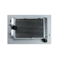 Stopp Left Radiator fits Aprilia RST 1000 Futura 2001, 2002, 2003
